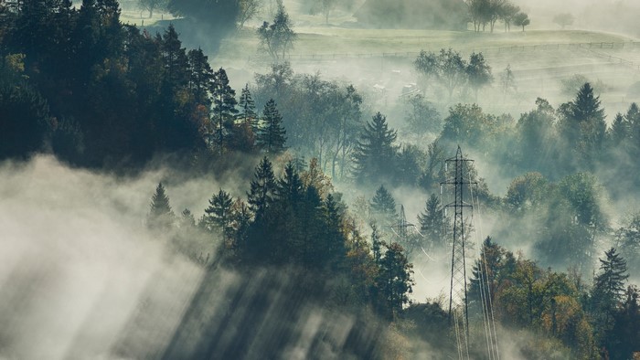 Misty forest with sunbeams and power lines