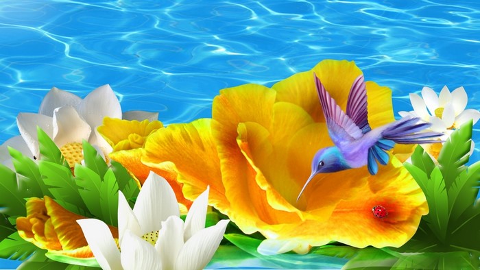 Hummingbird and ladybug on yellow flower with water background