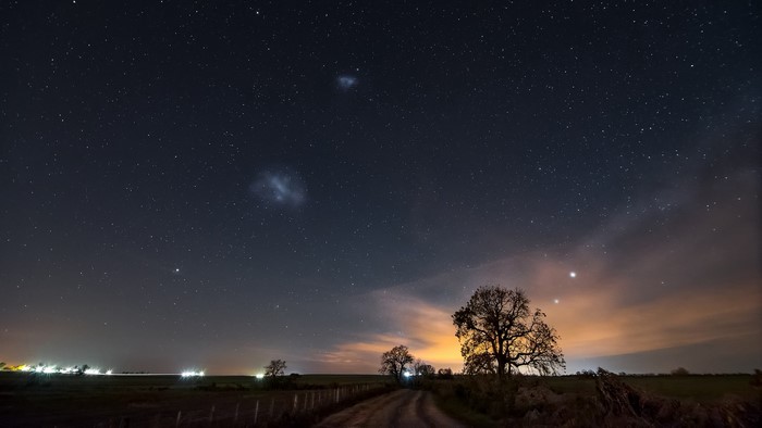 Starry night sky over a rural landscape with trees