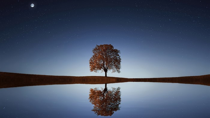Tree reflecting in water under starry sky
