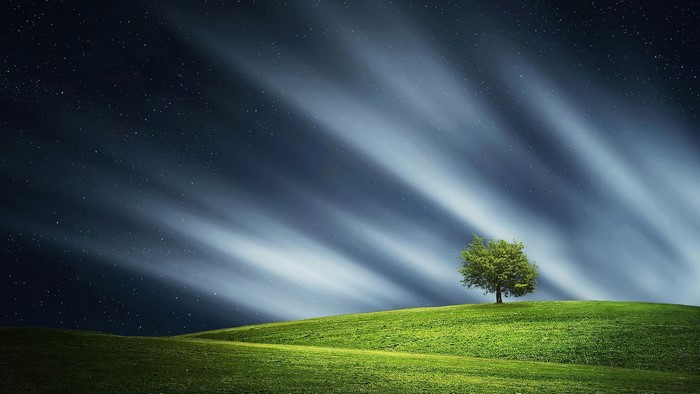 Lone tree on a grassy hill under a starry sky with light streaks