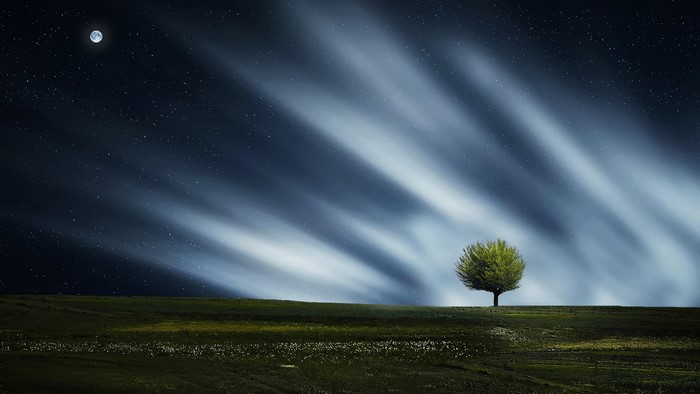 Night landscape with moon and tree