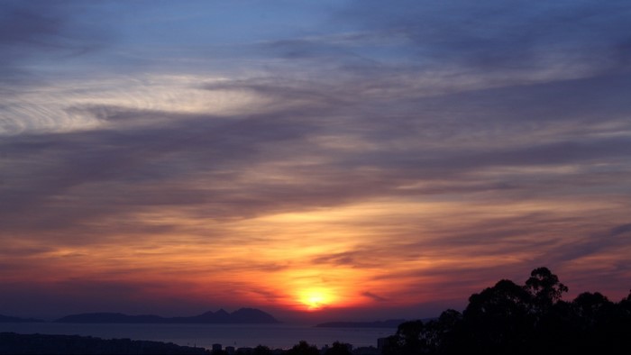 Sunset over the sea with clouds and trees