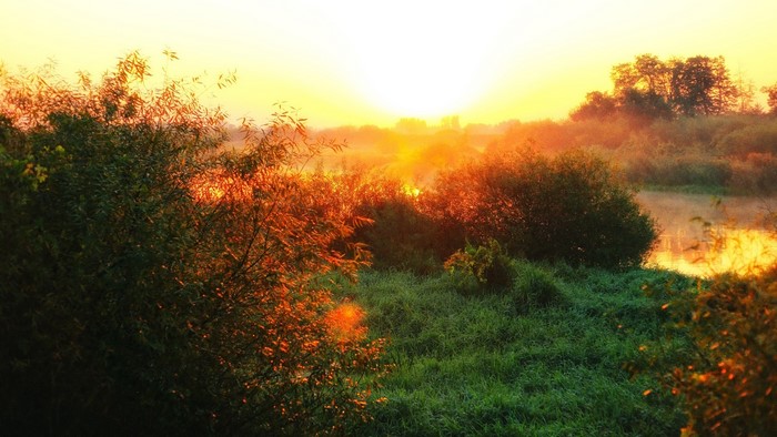 Sunrise over a misty river with trees and grass