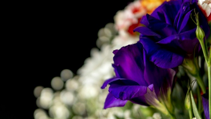 Purple and white flowers bouquet