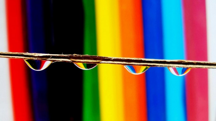 Water drops reflecting rainbow colors on a twig