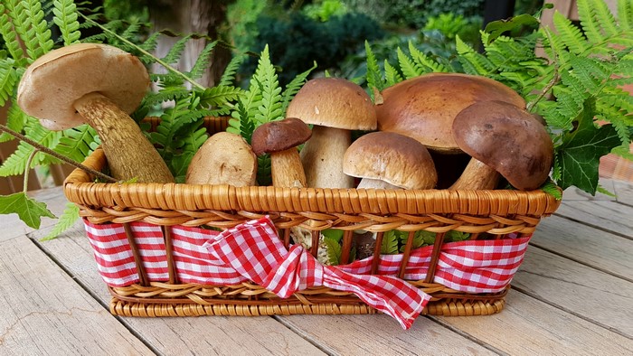 Basket of 4K Mushrooms with Ferns