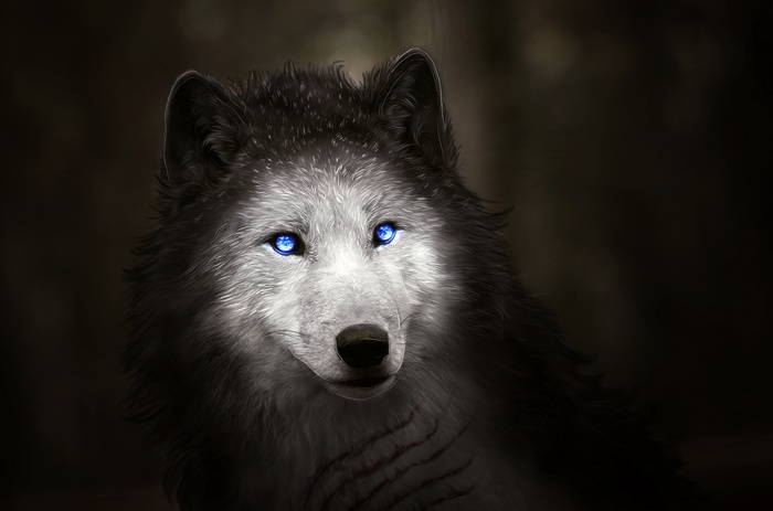 Digital art of a wolf with blue eyes