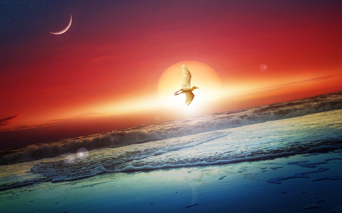 Seagull flying over ocean waves at sunset with crescent moon