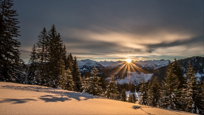 Sunset over snow-covered mountains and pine trees
