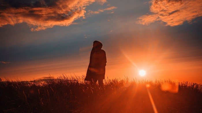 Silhouette of a person in a field at sunset