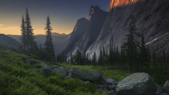 Mountain valley with pine trees and grass at sunset