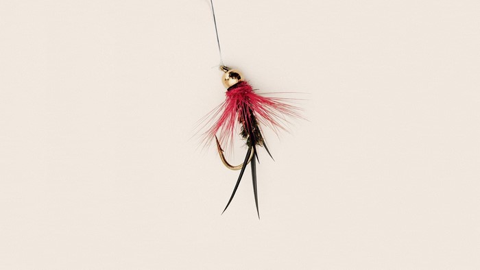 Fishing lure with red feathers and gold bead