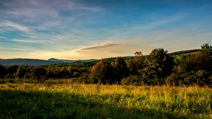 4K Nature Landscape with Hills and Trees