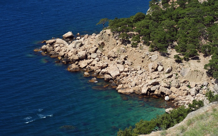 Rocky coastline with clear blue water and pine trees