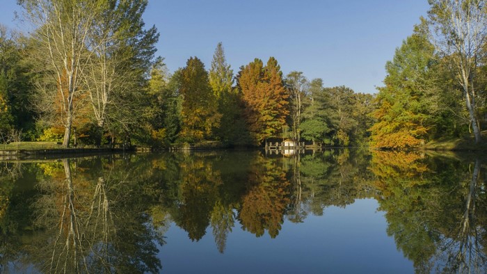 Autumn landscape with trees reflecting in a lake
