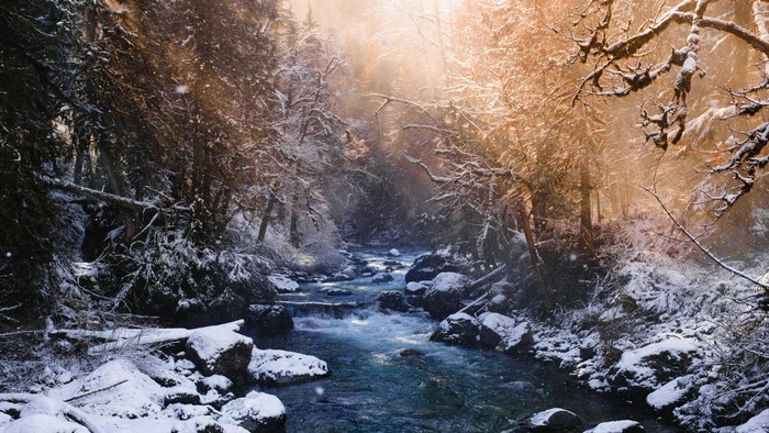 Winter stream flowing through a snowy forest with sunlight