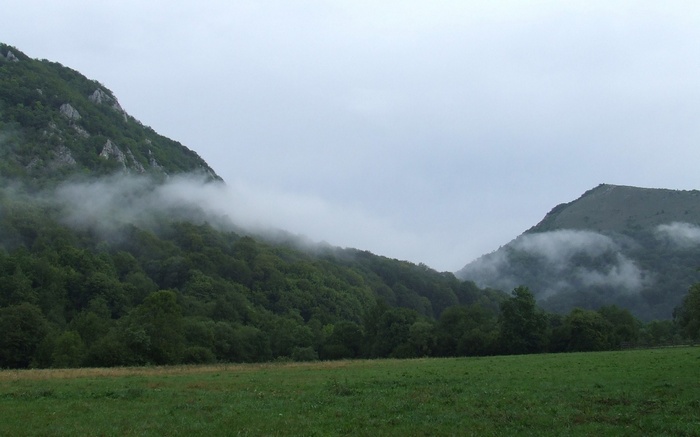 Misty mountains and green forest with a meadow