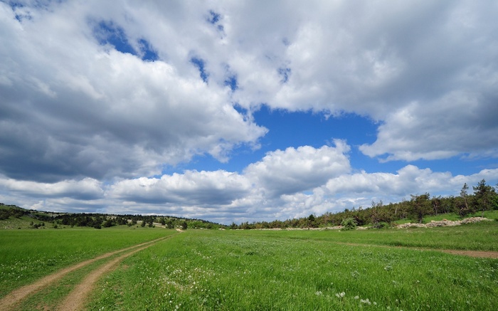 Dirt road through a green meadow under a cloudy sky