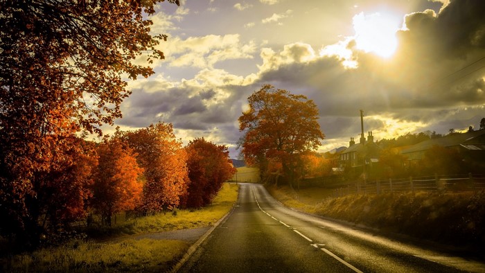 Autumn road with trees and houses