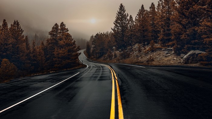 Road through a misty forest with autumn trees
