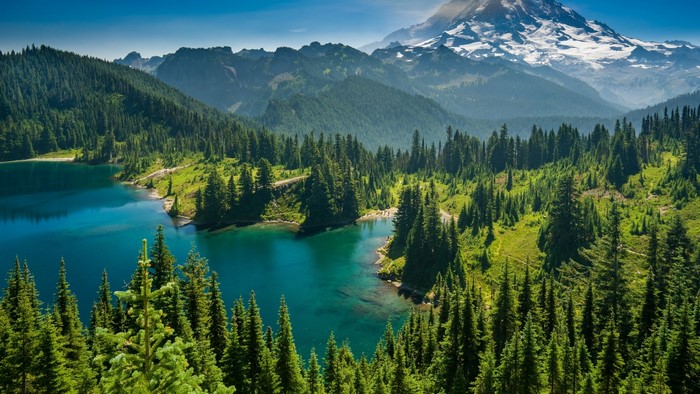 Forest lake and snow-capped mountain