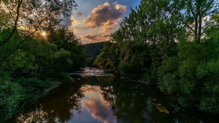 River flowing through a forest at sunset