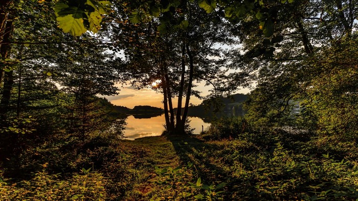 Sunset over a forest lake
