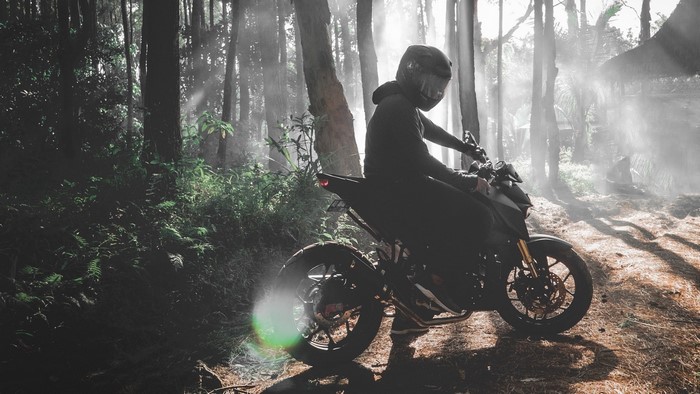 Motorcyclist in a foggy forest