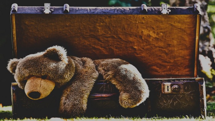 Teddy bear in an antique suitcase