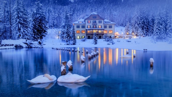 Winter landscape with swans and a hotel