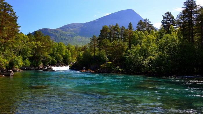 Turquoise river flowing through a forest with a mountain backdrop