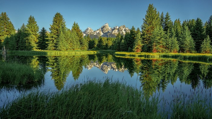 Reflection of Mountains and Trees in a Lake