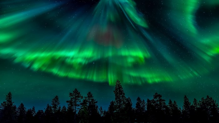Northern lights over a forest silhouette