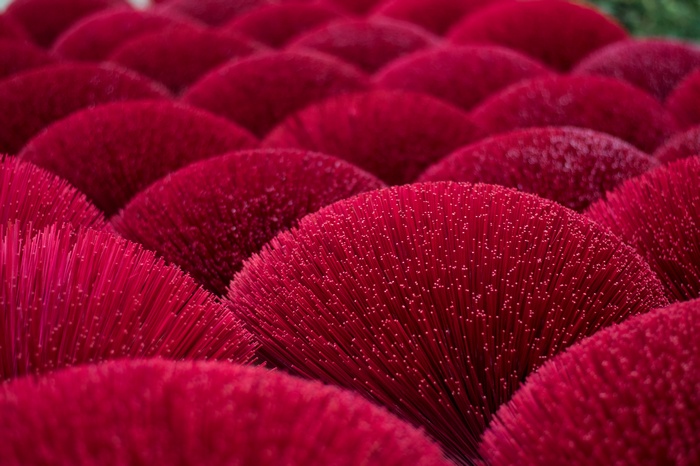 Close-up of red incense sticks