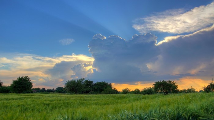 Sunbeams through clouds over a green field