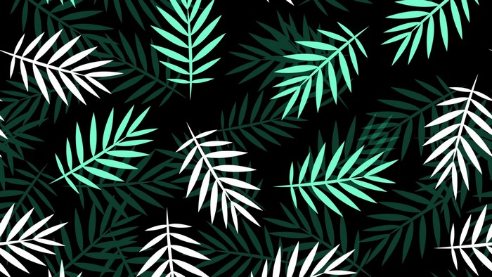 White and Teal Palm Leaves on Black Background