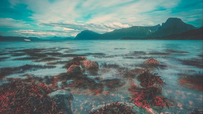 Rocky Shoreline with Mountains in Norway