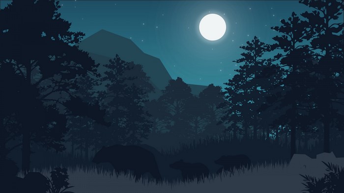 4K Night Forest with Bears