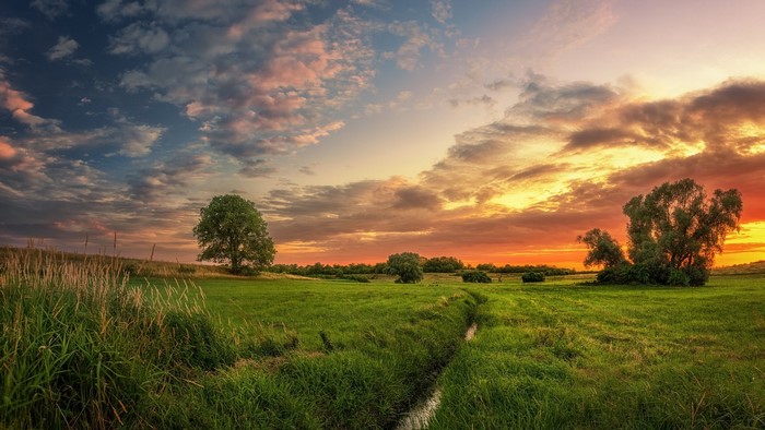Sunset over a green field with trees