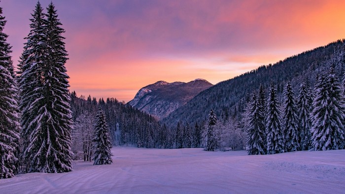 Snowy forest with mountains at sunset