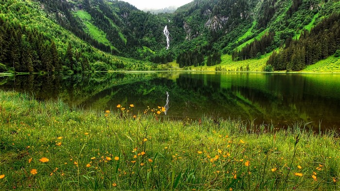 Waterfall reflecting in a mountain lake with wildflowers