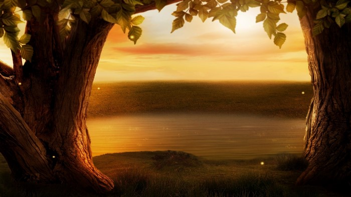 Magical forest clearing at sunset with fireflies
