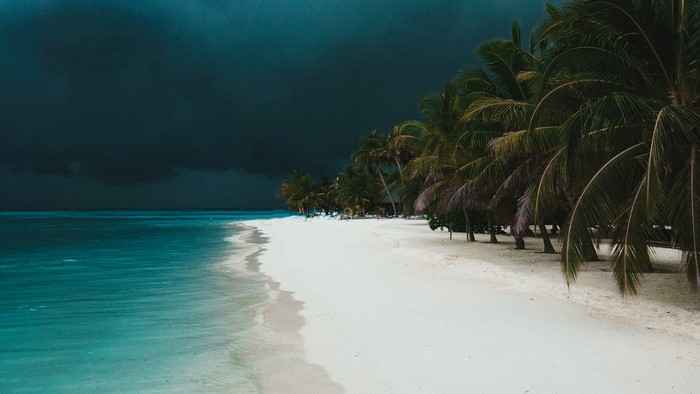Stormy beach with palm trees and turquoise water