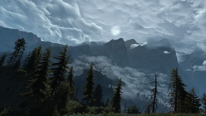 The Witcher 3: Wild Hunt mountains and trees