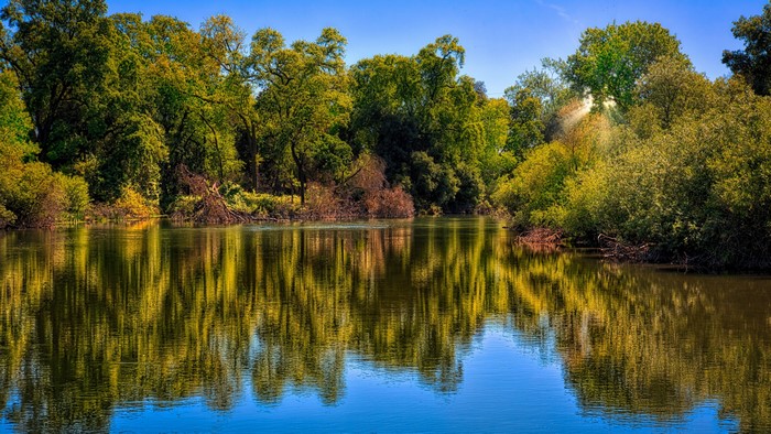 4K Reflection of Trees on Water