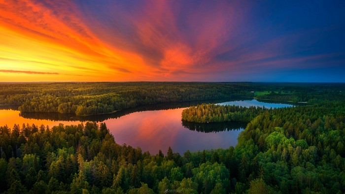Aerial view of a lake and forest at sunset