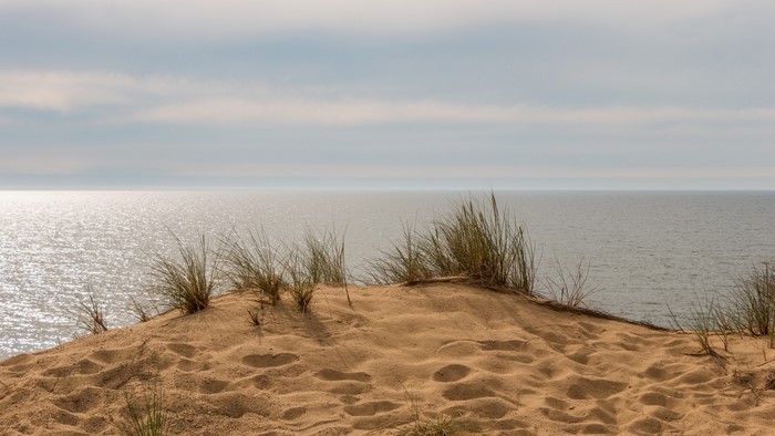 Sandy dune with grass overlooking the ocean