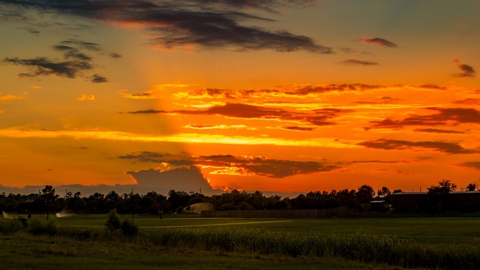 4K Sunset Over a Field with Trees