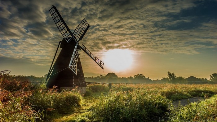 Windmill in a field at sunrise